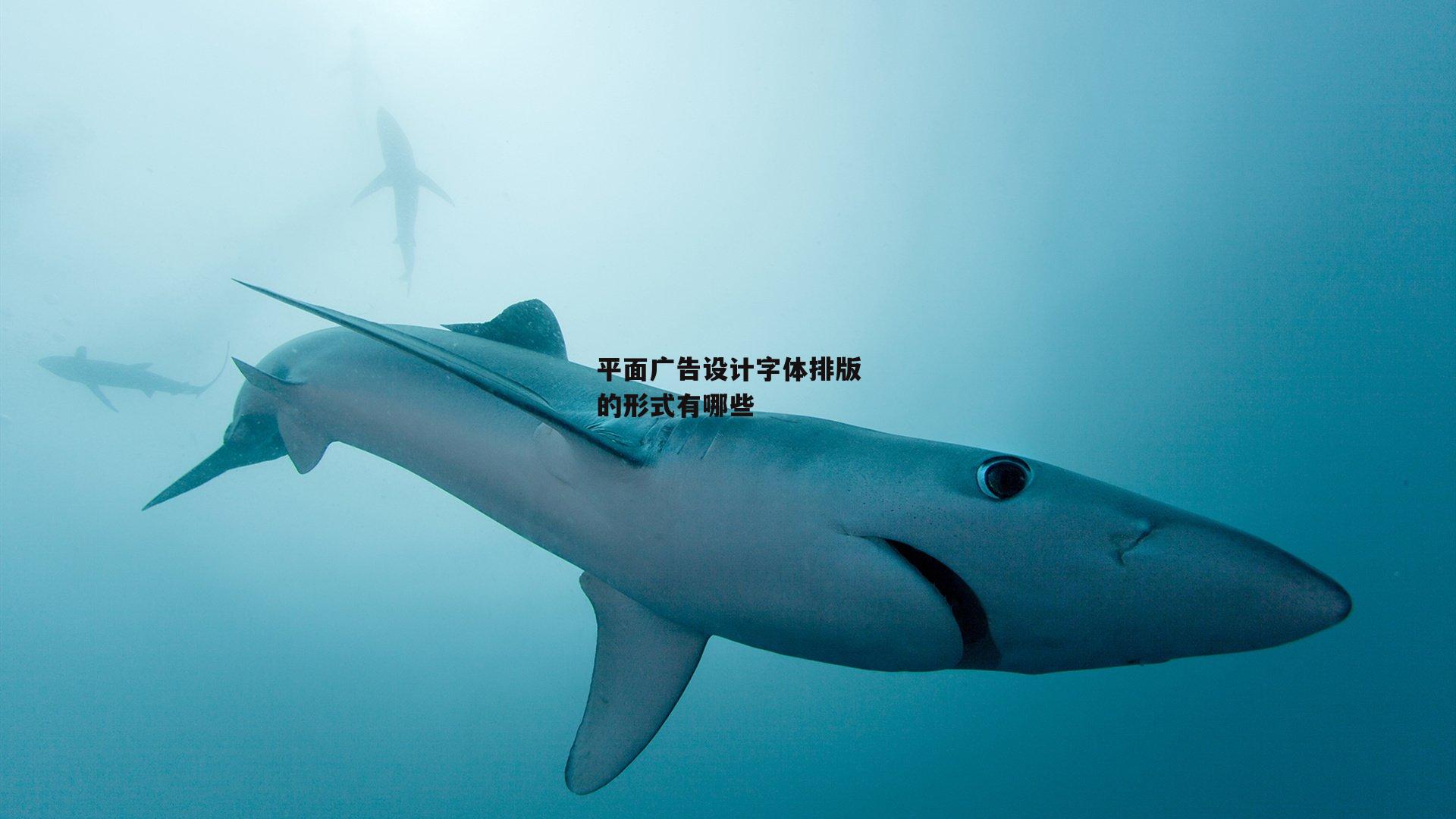 平面广告设计字体排版的形式有哪些